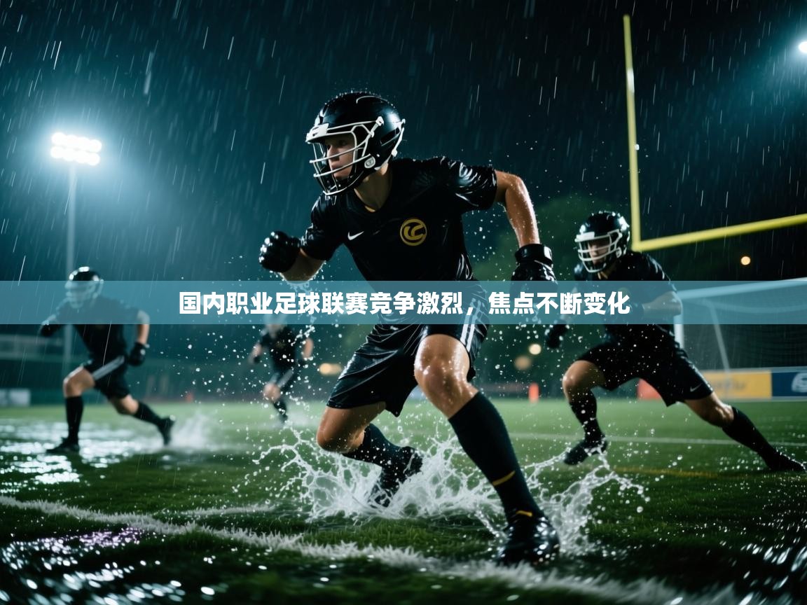 国内职业足球联赛竞争激烈，焦点不断变化  第2张