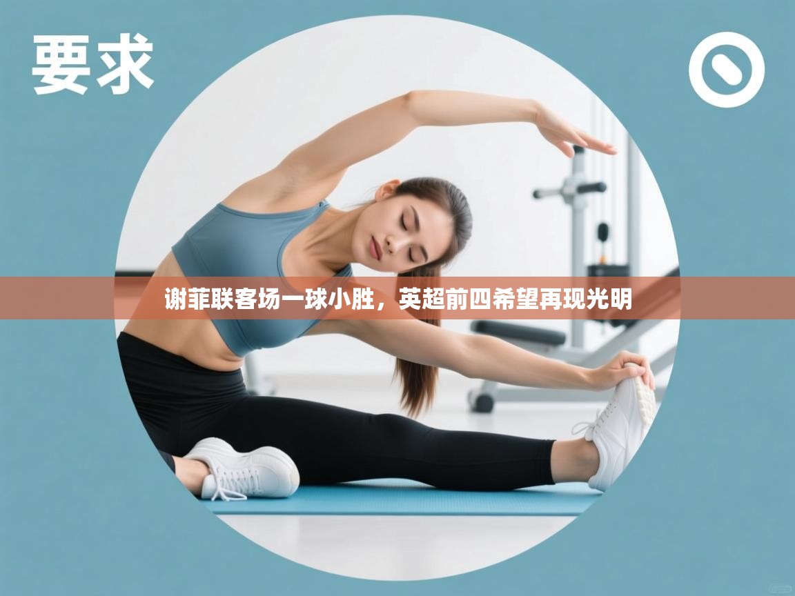 谢菲联客场一球小胜，英超前四希望再现光明  第1张