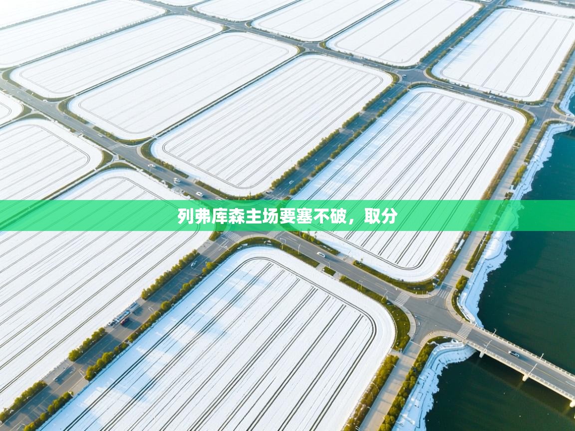 列弗库森主场要塞不破，取分  第1张